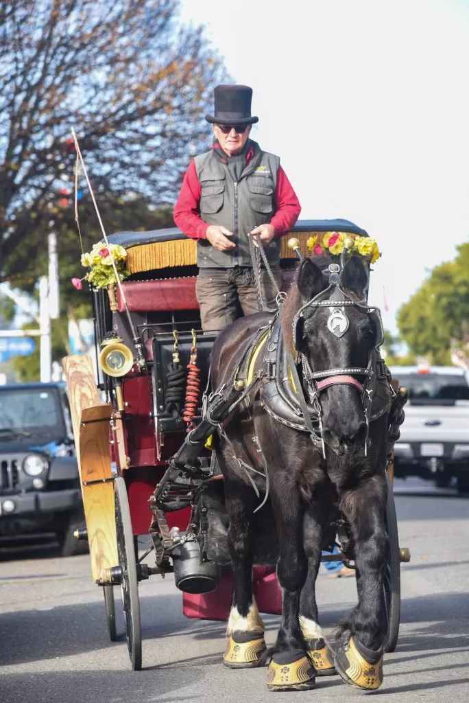 Man standing on carriage with horse