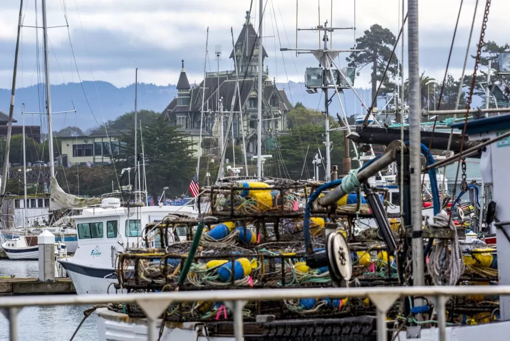 boats with lots of netting in the marina with the carson mansion in the back ground
