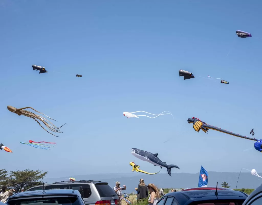 multiple kites flying in the air