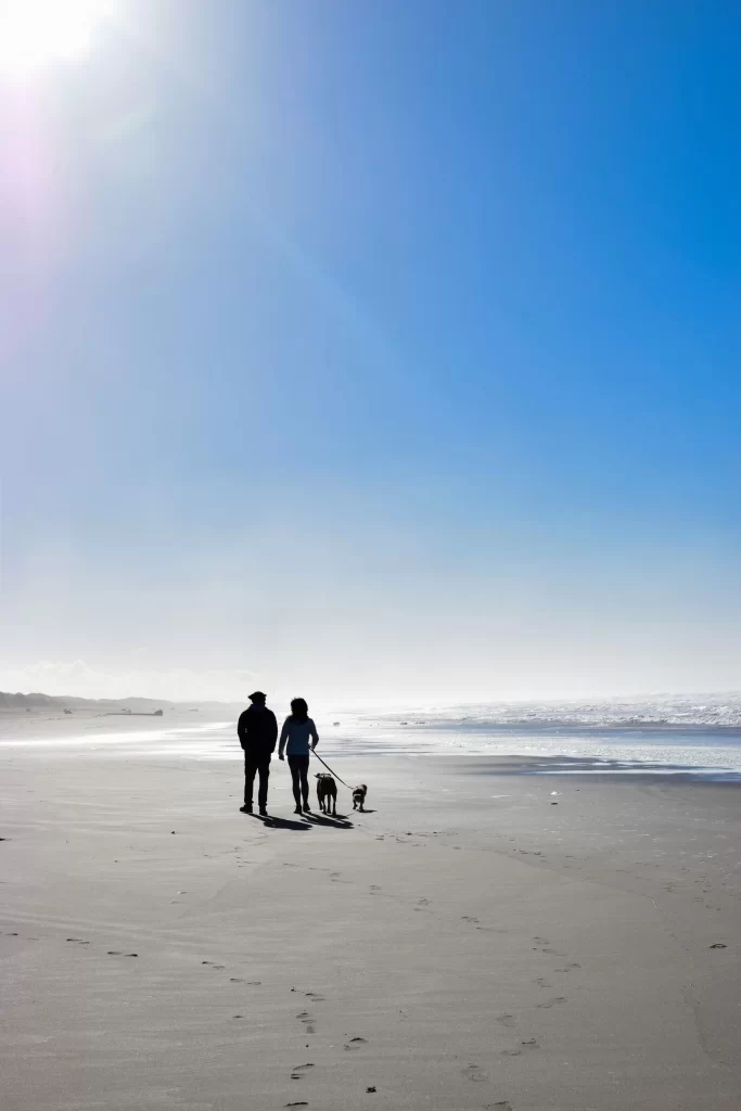 couple walking 2 dogs on the beach on a sunny day